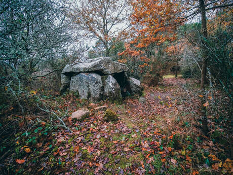 Dolmen de Kerdaniel