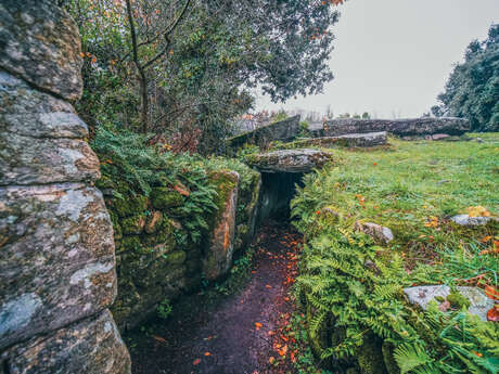 Tumulus de Mané Lud