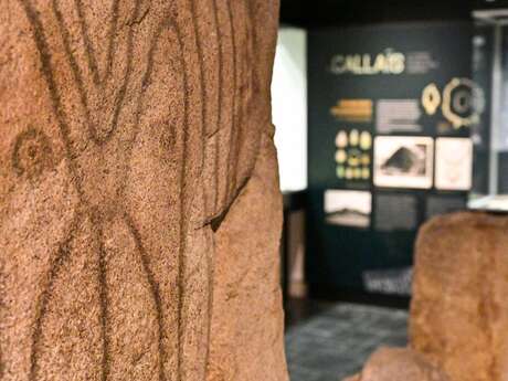 ENQUETE : Code Néolithique