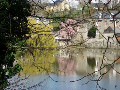 Activités nature au Pont du Rachapt