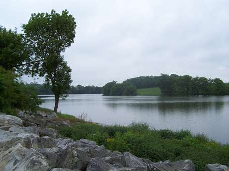 L'étang de la forge