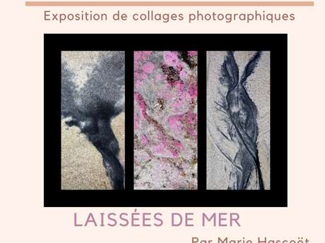 Exposition "Laissées de mer"