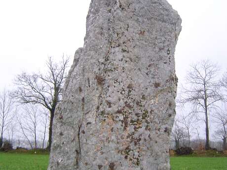 Menhir La Pierre Blanche