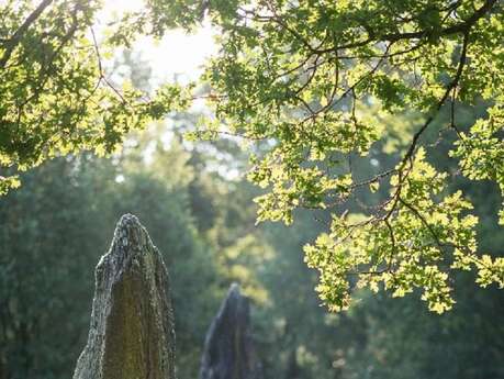 Les Journées du patrimoine aux Menhirs de Monteneuf Les Journées du patrimoine aux Menhirs de Monteneuf