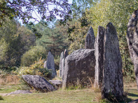 Quand les pierres nous parlent