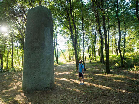 Grand menhir de Kermarquer