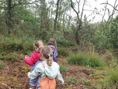 Murmures de nature