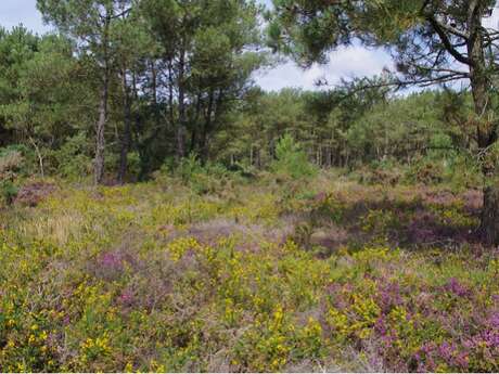Visites et balades : Nature (extra)ordinaire