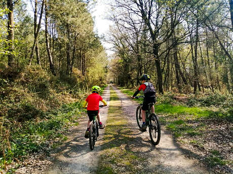 Randos VTT & pédestre avec Montfort VTT