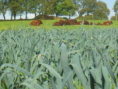 Ferme de Menez Douar Ellez