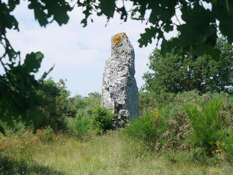 Menhir La Pierre Longue