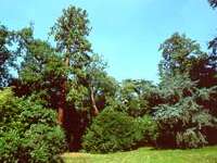 Parc des Tanneurs