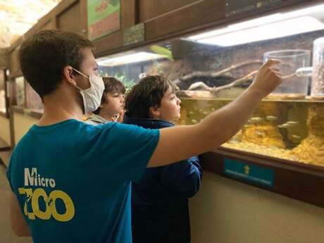 Micro Zoo