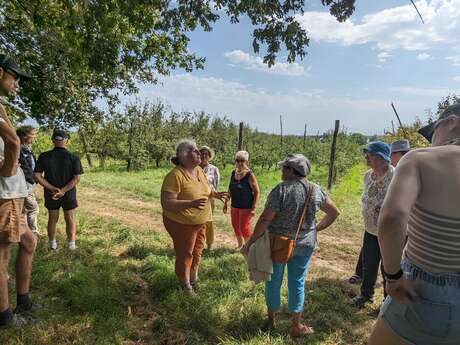 Un après-midi à la ferme aux Vergers Latapie