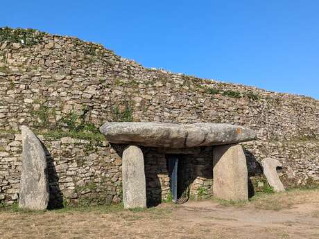Chasse aux menhirs au Cairn de Petit Mont