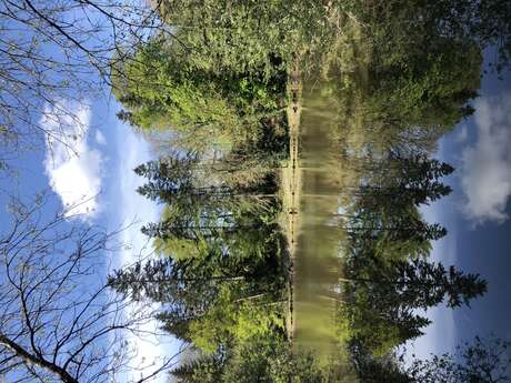 Le parc de la Tour Duguesclin