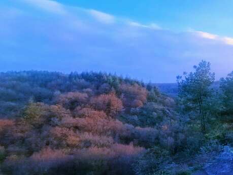 Un hiver dans le Val Sans Retour - balade contée et goûter avec Pauline