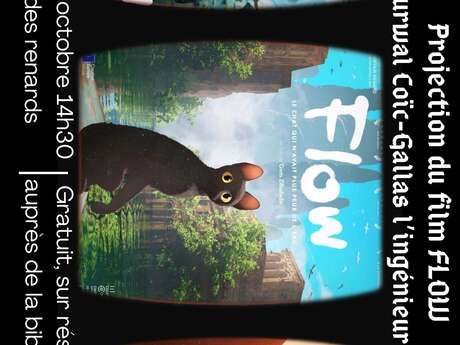 Projection du film "Flow"