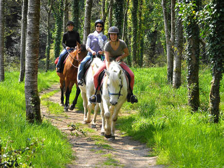 Equibreizh : Les Marches de Bretagne