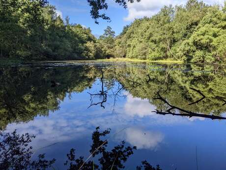 L'Etang de Carrouët