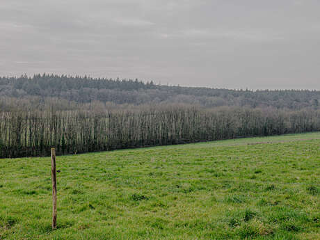 Boucle vélo de Brain-Langon n°9