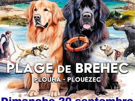 Championnat de France de sauvetage à l'eau