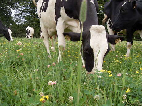 Un après-midi à la ferme - Balade gourmande de ferme en ferme