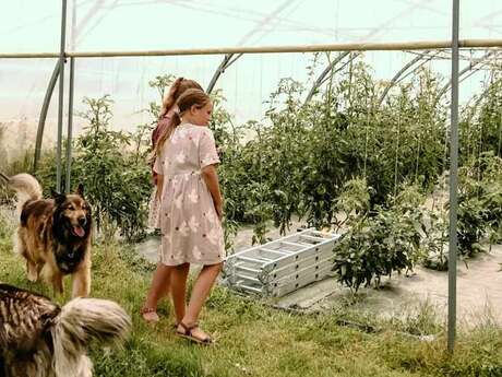 Les Jardins des Coccinelles - Un lit au pré