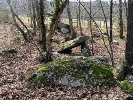 Allée couverte de Trélan