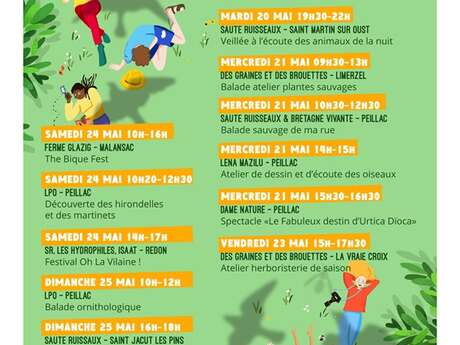 Veillée à l'écoute des animaux de la nuit