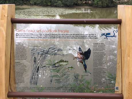 Sentier découverte de l'étang et ses habitants