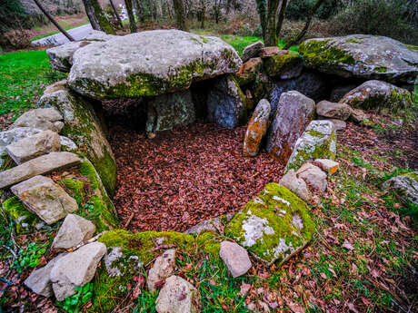 Dolmen de Kermarquer