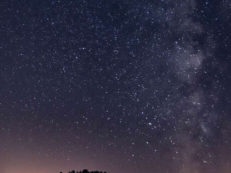Une soirée sur la lande en été