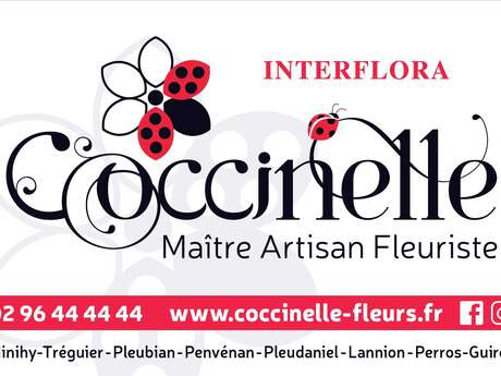Coccinelle