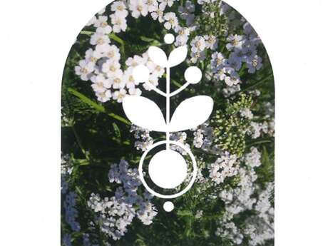 Visite des Jardins OYONA