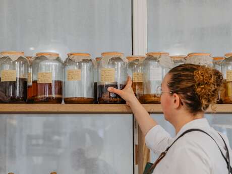 Cours de cuisine à La Butte - La lactofermentation de légumes et de fruits