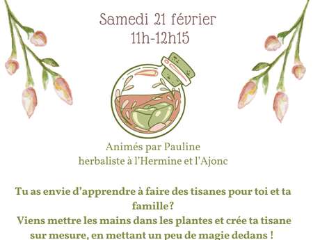 Les ateliers potion en famille - L'Hermine et l'Ajonc