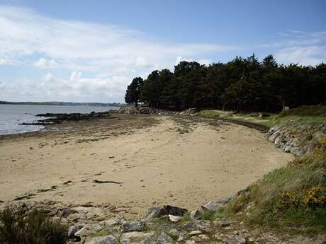 Ile de Boëde - Cadouarn et Pointe du Bill