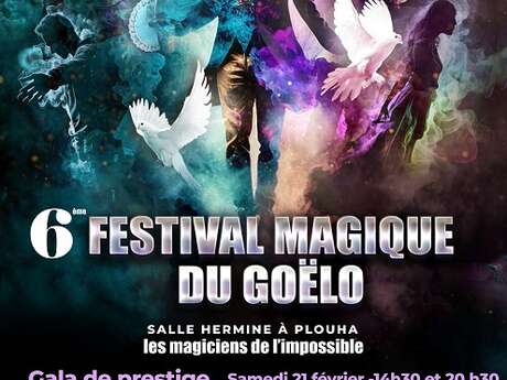 Festival Magique du Goëlo
