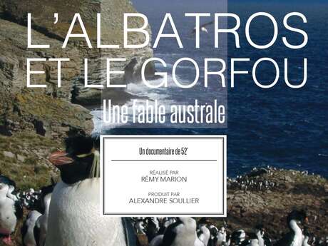 Projection du film Albatros et gorfou, une fable australe
