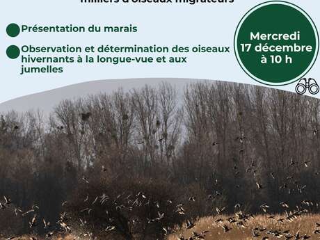 Découverte hivernale du Marais Noir de Saint-Coulban