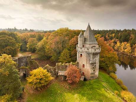 Forteresse de Largoët - Les Tours d'Elven