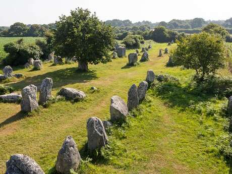 Alignements de Kerzerho-Varques