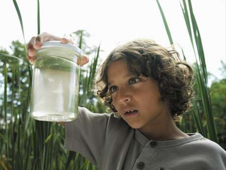 Festival de la Biodiversité en Brocéliande - Santé et Biodiversité