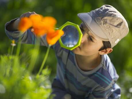 Festival de la Biodiversité en Brocéliande - Santé et Biodiversité