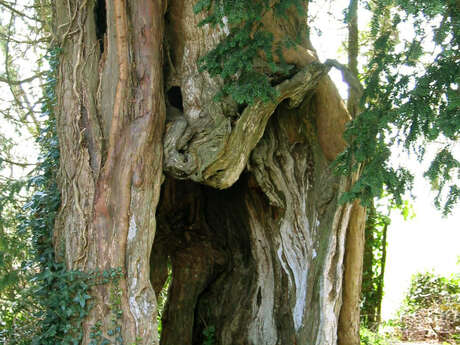 If de l'église ND de Lorette