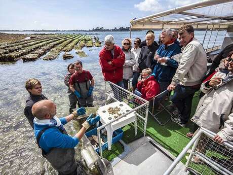 L'Huître La Toulverne - Au rythme des marées - La Cabane à Huîtres