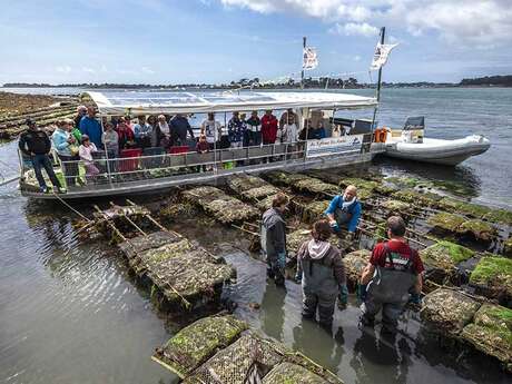 L'huître La Toulverne - Au Rythme des Marées