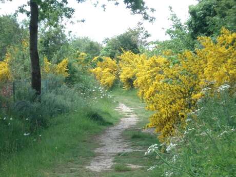 Maison avec jardin clos dans un environnement zen