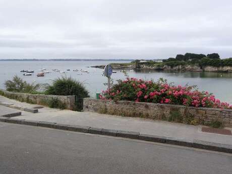 Appartement tout confort vue mer, accès direct plage du Pérello et sentier côtier